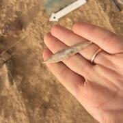 Projectile point from Nahal Roded 110