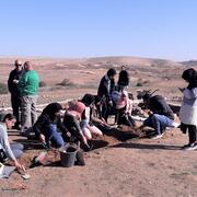 Volunteers on Rakafot excavations, Beersheba